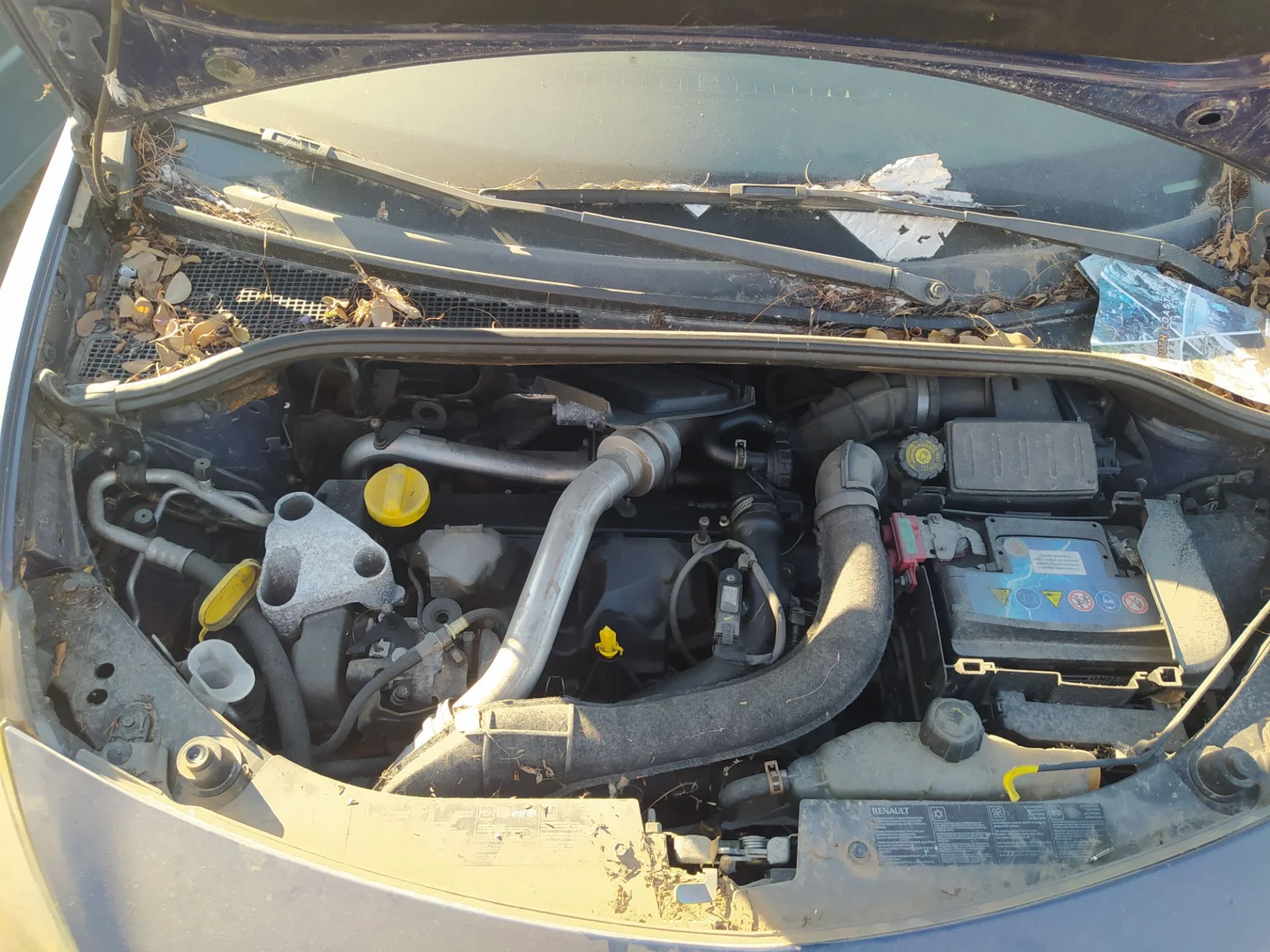 Foto de ARTICULACION LIMPIA DELANTERA RENAULT CLIO III 1.5 dCi Diesel CAT (86 CV / 63 KW) referencia 8200268931