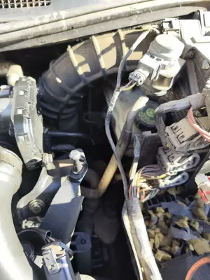 Foto de SERVOFRENO RENAULT MEGANE II BERLINA 5P 1.5 dCi Diesel (106 CV / 78 KW) referencia 7701208718