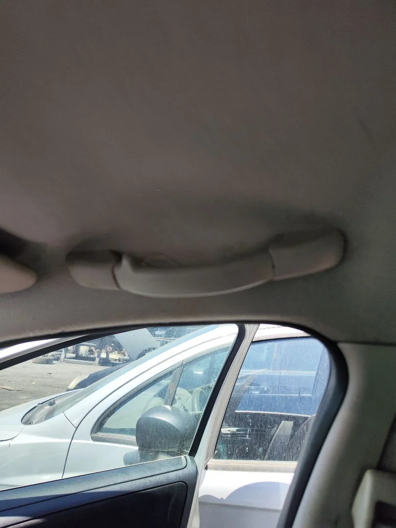 Foto de ASIDERO TECHO DELANTERO DERECHO PEUGEOT 207 1.4 (73 CV / 54 KW) referencia 9128W5
