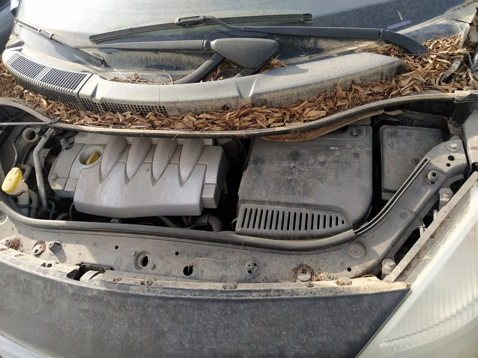 Foto de BISAGRA CAPO DERECHA RENAULT SCENIC II 1.6 16V (113 CV / 83 KW) referencia 8200081663