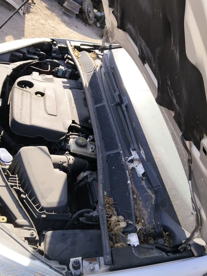 Foto de TORPEDO FORD S-MAX (CA1) 2.0 TDCi CAT (131 CV / 96 KW)