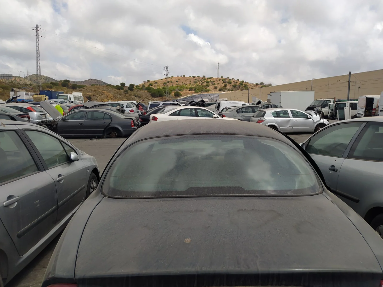 Foto de MANETA EXTERIOR MALETERO / PORTON JAGUAR S-TYPE (03.1999) 4.0 V8 32V CAT (276 CV / 203 KW)