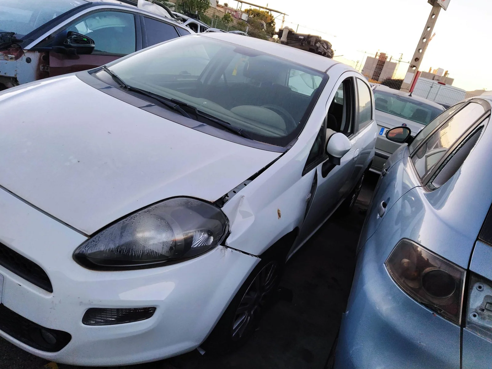 Foto de PUERTA DELANTERA IZQUIERDA FIAT III PUNTO (199) 1.4 CAT (78 CV / 57 KW) referencia 0051846215