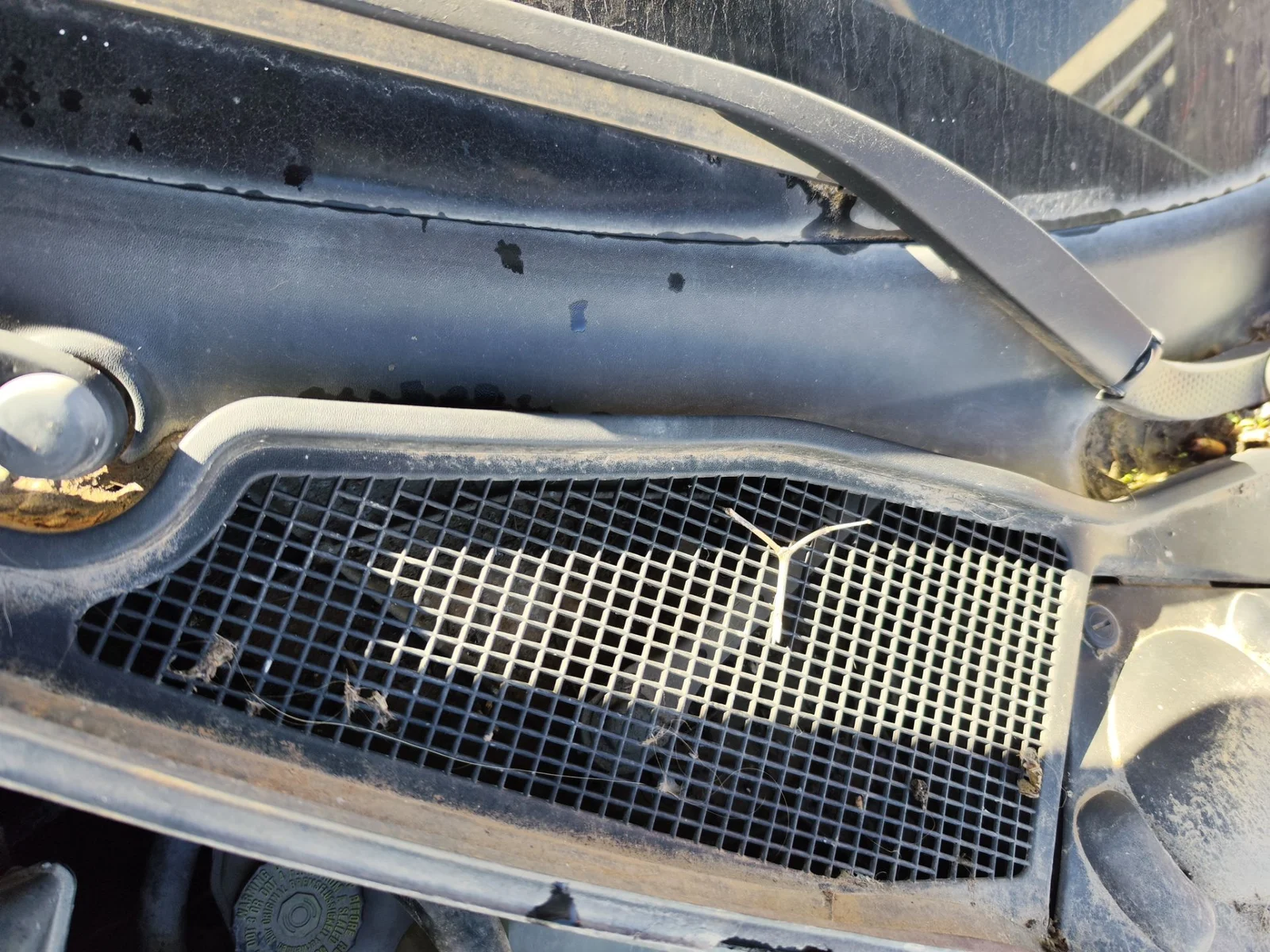 Foto de MOTOR LIMPIA DELANTERO RENAULT LAGUNA II (BG0) 1.8 CAT (120 CV / 88 KW) referencia 8200317212
