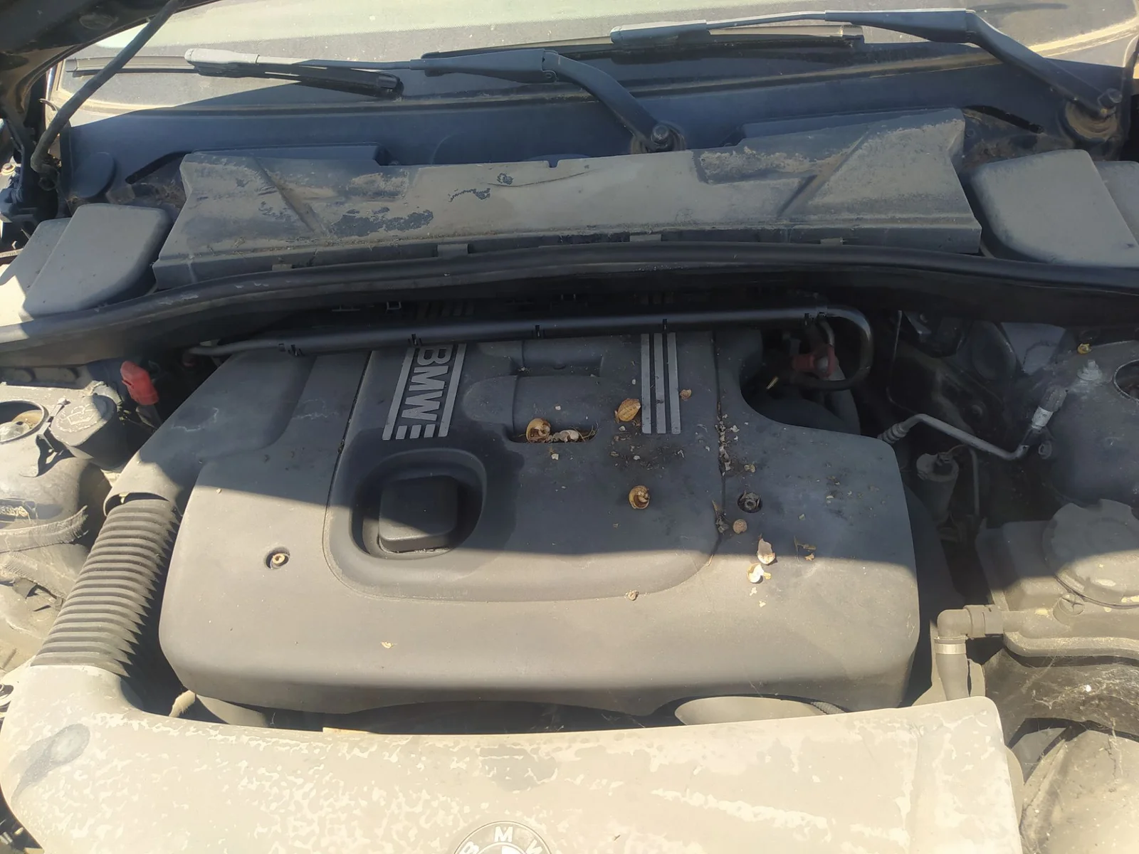 Foto de MOTOR ARRANQUE BMW SERIE 1 BERLINA (E81/E87) 2.0 16V Diesel (163 CV / 120 KW)