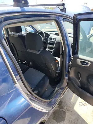 Foto de GOMAS CONTORNO PUERTA PEUGEOT 307 BERLINA (S2) 1.4 16V CAT (KFU / ET3J4) (88 CV / 65 KW)