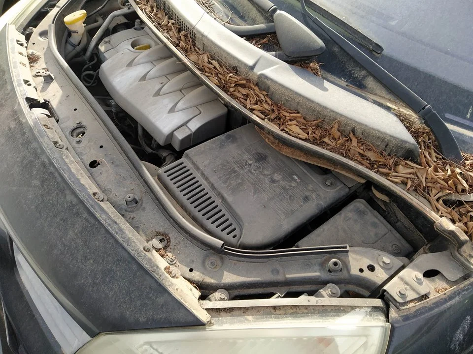 Foto de CERRADURA CAPO RENAULT SCENIC II 1.6 16V (113 CV / 83 KW) referencia 8200236512