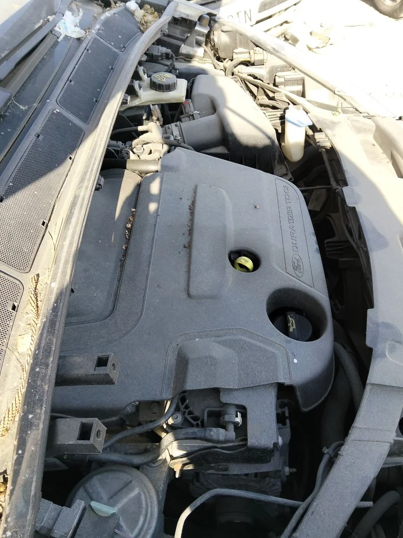 Foto de MOTOR COMPLETO FORD S-MAX (CA1) 2.0 TDCi CAT (131 CV / 96 KW) referencia 1343078