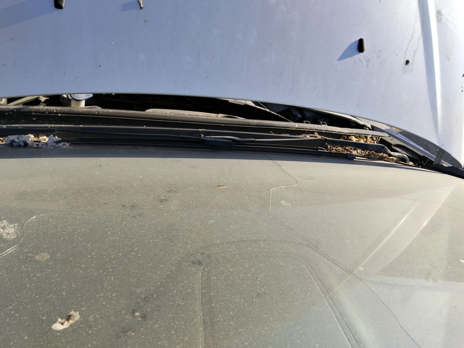 Foto de BRAZO LIMPIA DELANTERO DERECHO FORD S-MAX (CA1) 2.0 TDCi CAT (131 CV / 96 KW) referencia 1715289