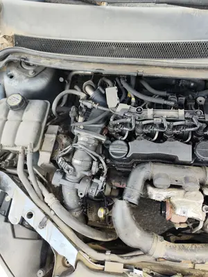 Foto de MOTOR COMPLETO FORD FOCUS BERLINA (CAP) 1.6 TDCi CAT (90 CV / 66 KW) referencia 1699880