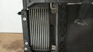 Foto de INTERCOOLER FORD FIESTA (CNN) 1.5 TDCi CAT (75 CV / 55 KW) referencia AV219L440AC