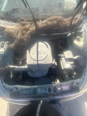 Foto de DESPIECE MOTOR LANCIA Y 1.2 CAT (60 CV / 44 KW)