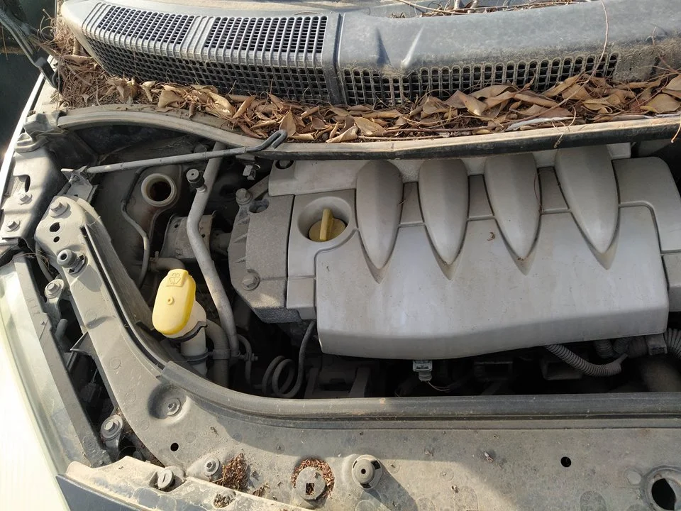 Foto de MOTOR COMPLETO RENAULT SCENIC II 1.6 16V (113 CV / 83 KW)