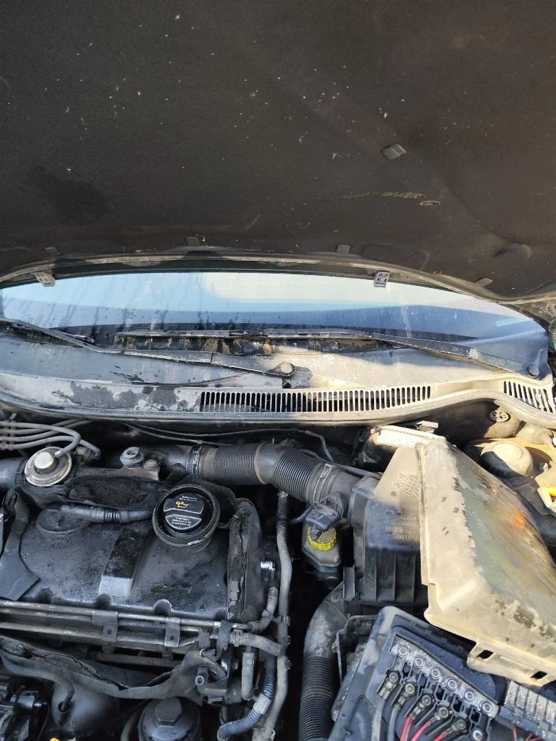 Foto de ARTICULACION LIMPIA DELANTERA SEAT IBIZA (6L1) 1.9 TDI (101 CV / 74 KW) referencia 6L1955601