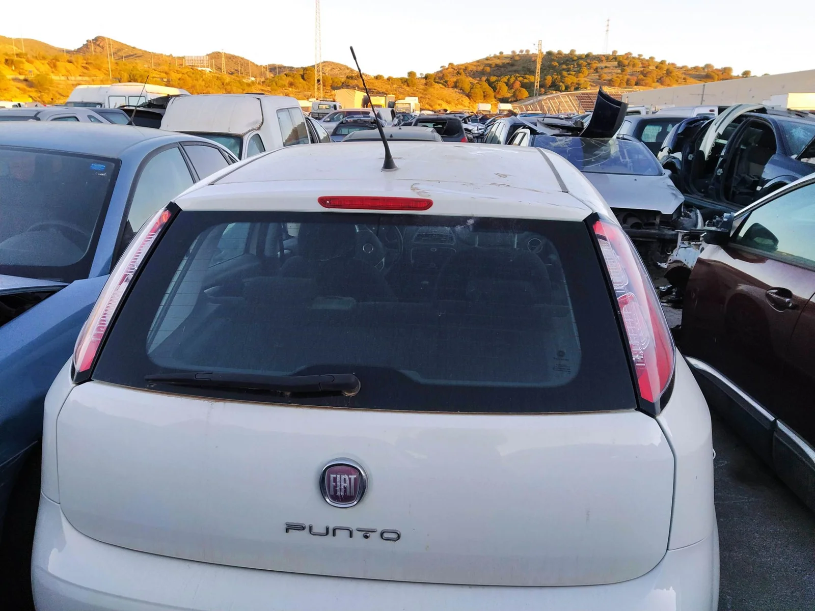 Foto de PORTON TRASERO FIAT III PUNTO (199) 1.4 CAT (78 CV / 57 KW) referencia 0051938460