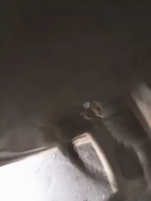 Foto de PINZA DE FRENO DELANTERA DERECHA CITROEN C2 1.4  (73 CV / 54 KW) referencia 4401E3