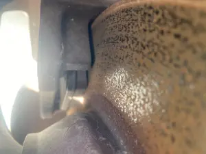 Foto de PINZA DE FRENO TRASERA DERECHA FORD KUGA (CBV) 2.0 TDCi CAT (136 CV / 100 KW) referencia 1738987