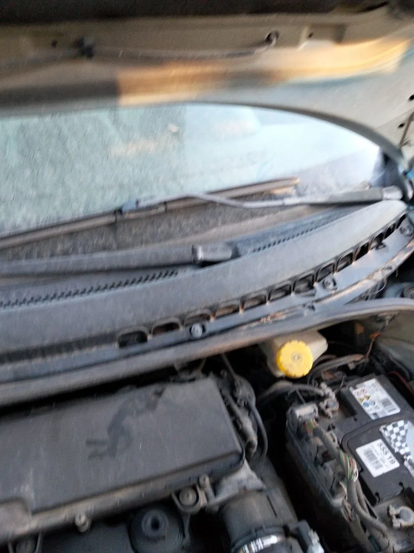 Foto de MOTOR LIMPIA DELANTERO CITROEN C3 referencia 6401F4