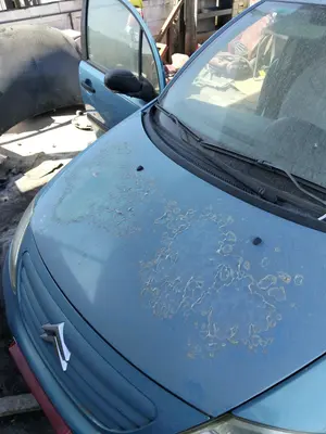 Foto de CAPO CITROEN C3 referencia 7901K6 foto 2