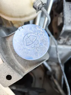 Foto de DEPOSITO LIMPIA CITROEN C4 BERLINA 1.6 16V HDi FAP (109 CV / 80 KW)