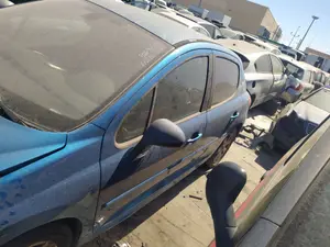 Foto de MANETA EXTERIOR DELANTERA IZQUIERDA PEUGEOT 207 1.6 16V CAT (109 CV / 80 KW) referencia 9101GF