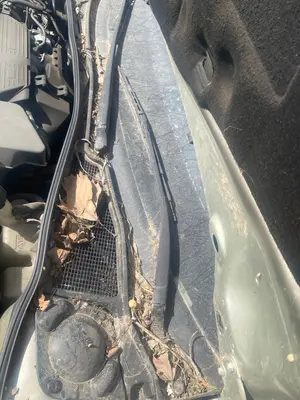 Foto de BRAZO LIMPIA DELANTERO IZQUIERDO RENAULT LAGUNA II (BG0) 2.0  (135 CV / 99 KW) referencia 7701049033