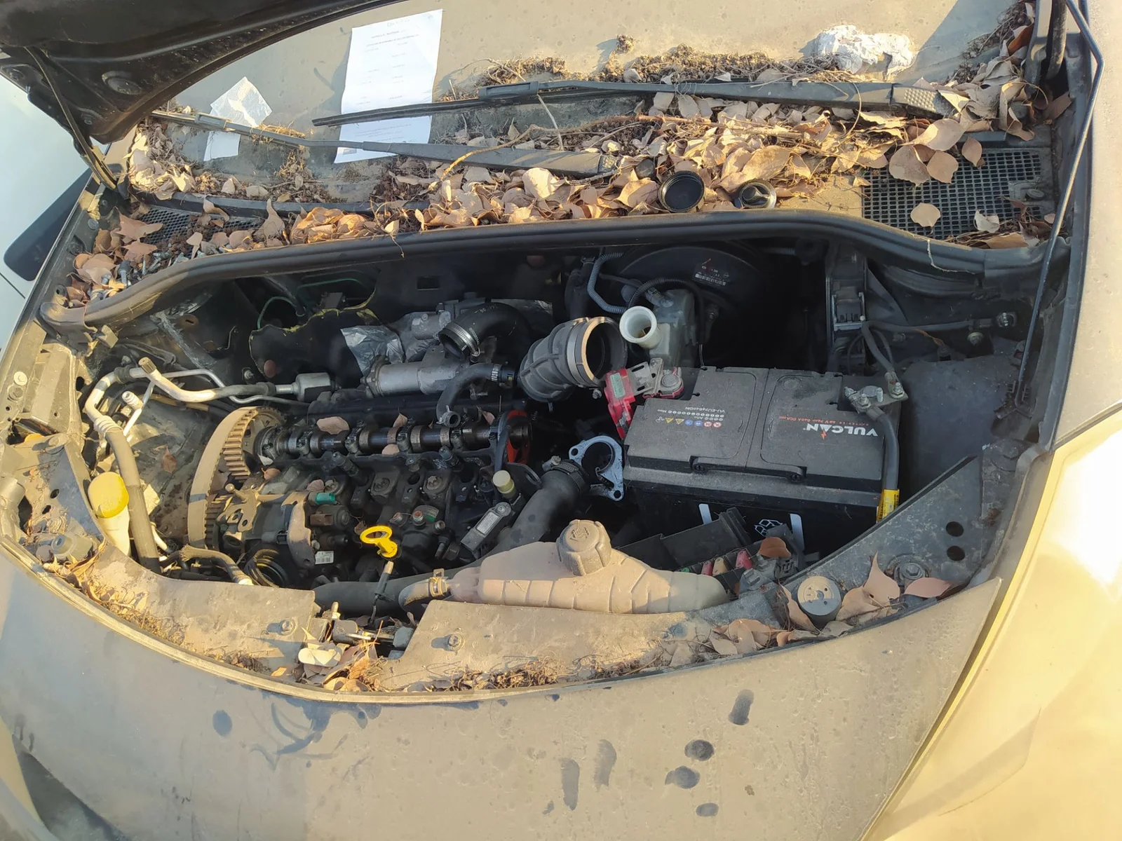 Foto de ARTICULACION LIMPIA DELANTERA RENAULT CLIO III 1.5 dCi Diesel (68 CV / 50 KW) referencia 8200268931
