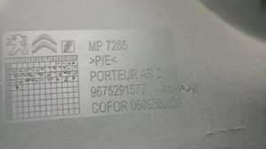 Foto de GUARNECIDO PUERTA TRASERA DERECHA CITROEN C-ELYSÉE 1.6 HDi FAP (92 CV / 68 KW) referencia 9675291577 foto 3