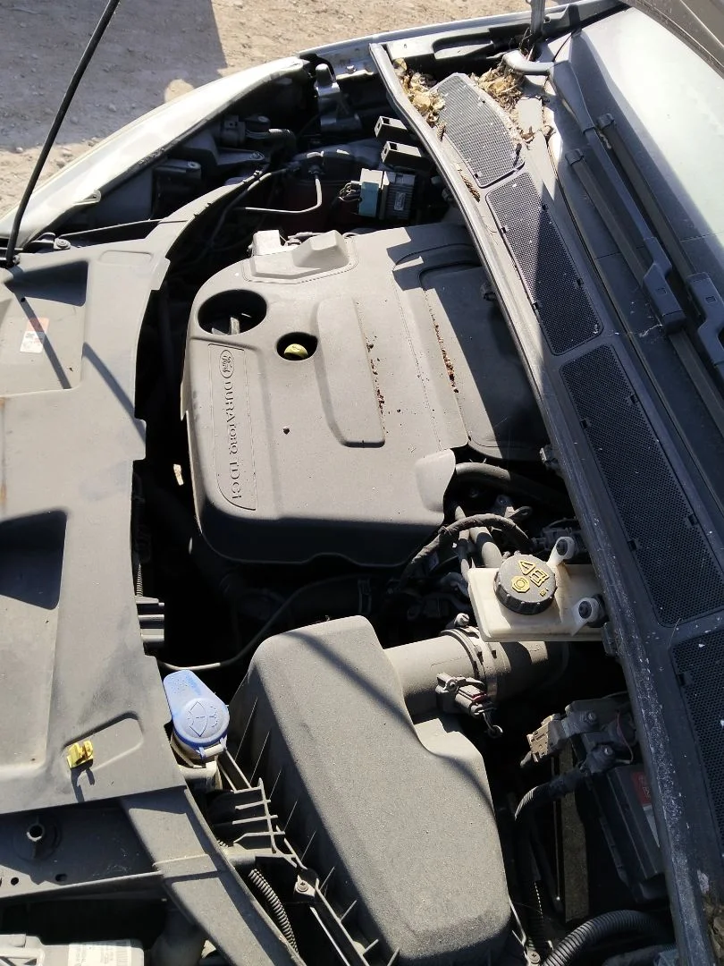 Foto de MOTOR ARRANQUE FORD S-MAX (CA1) 2.0 TDCi CAT (131 CV / 96 KW) referencia 1376305