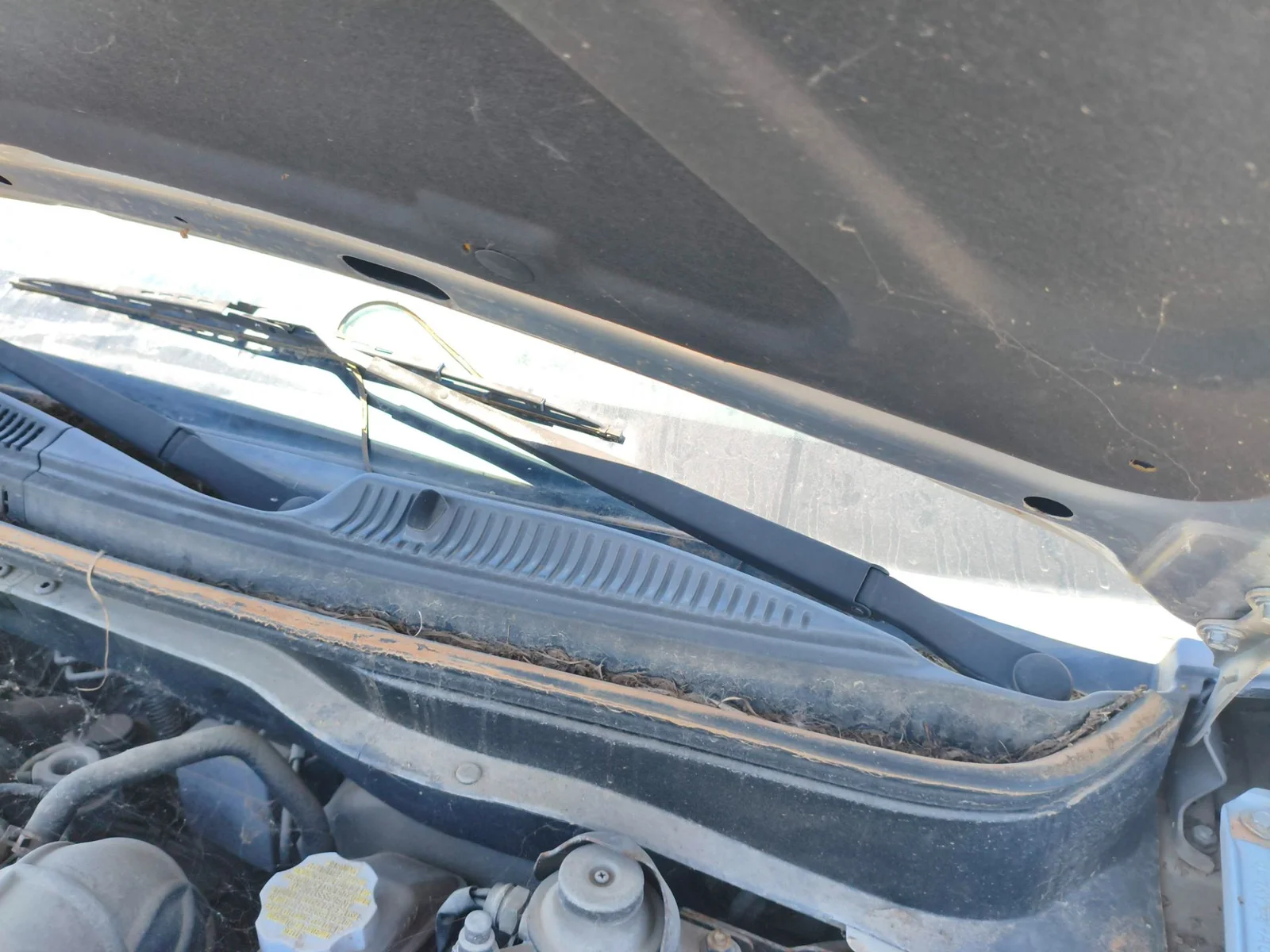 Foto de BRAZO LIMPIA DELANTERO IZQUIERDO KIA RIO (JB) 1.5 CRDi (110 CV / 81 KW) referencia 983101G000