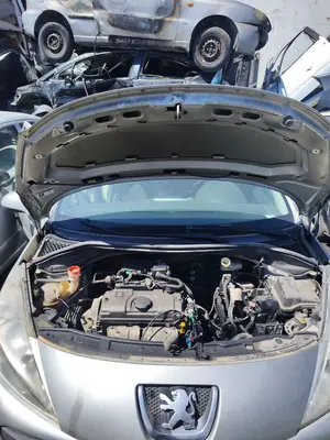 Foto de CAPO PEUGEOT 207 1.4  (73 CV / 54 KW) referencia 7901N2