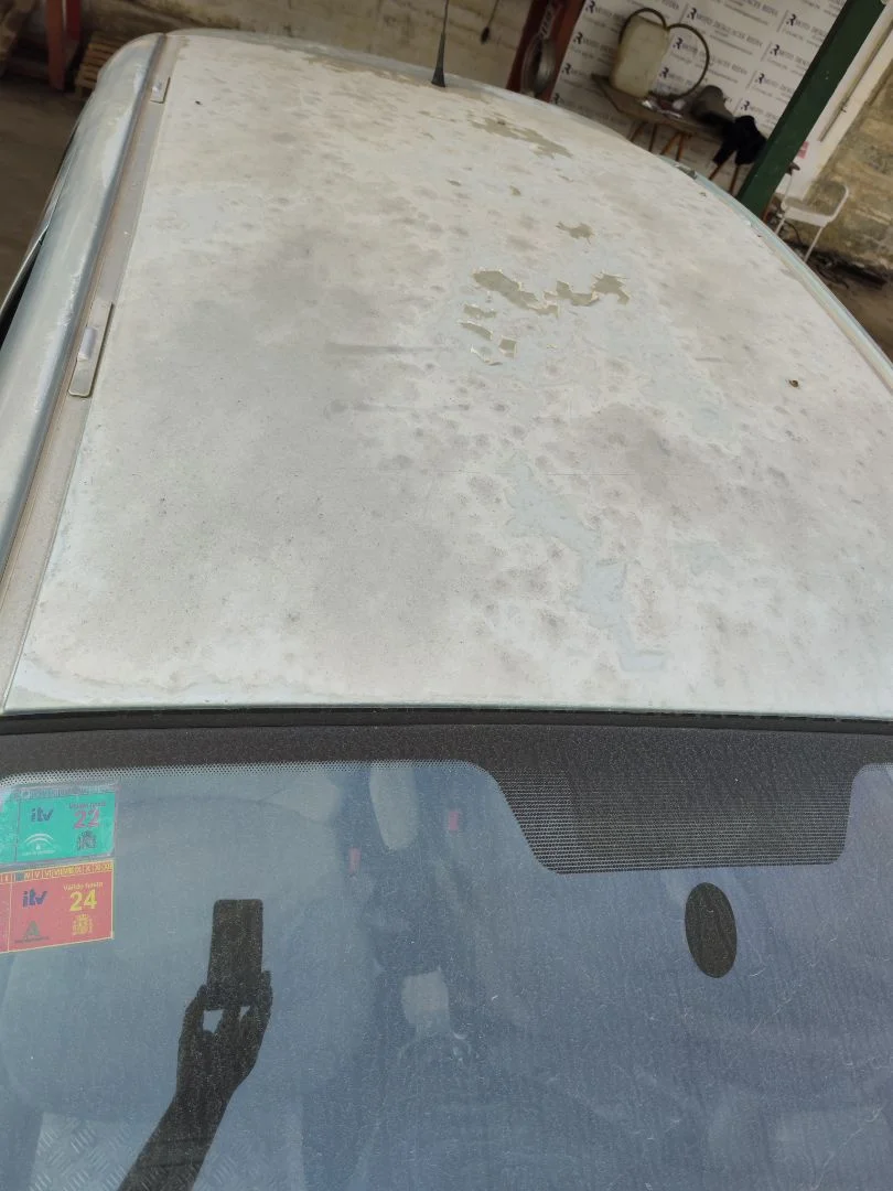 Foto de TECHO CITROEN XSARA PICASSO 2.0 HDi CAT (RHY / DW10TD) (90 CV / 66 KW) referencia 8301F4