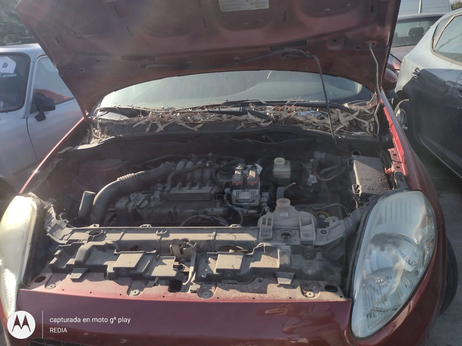 Foto de VARILLAJE CAMBIO FIAT GRANDE PUNTO (199) 1.4 CAT (78 CV / 57 KW) referencia 0055230720