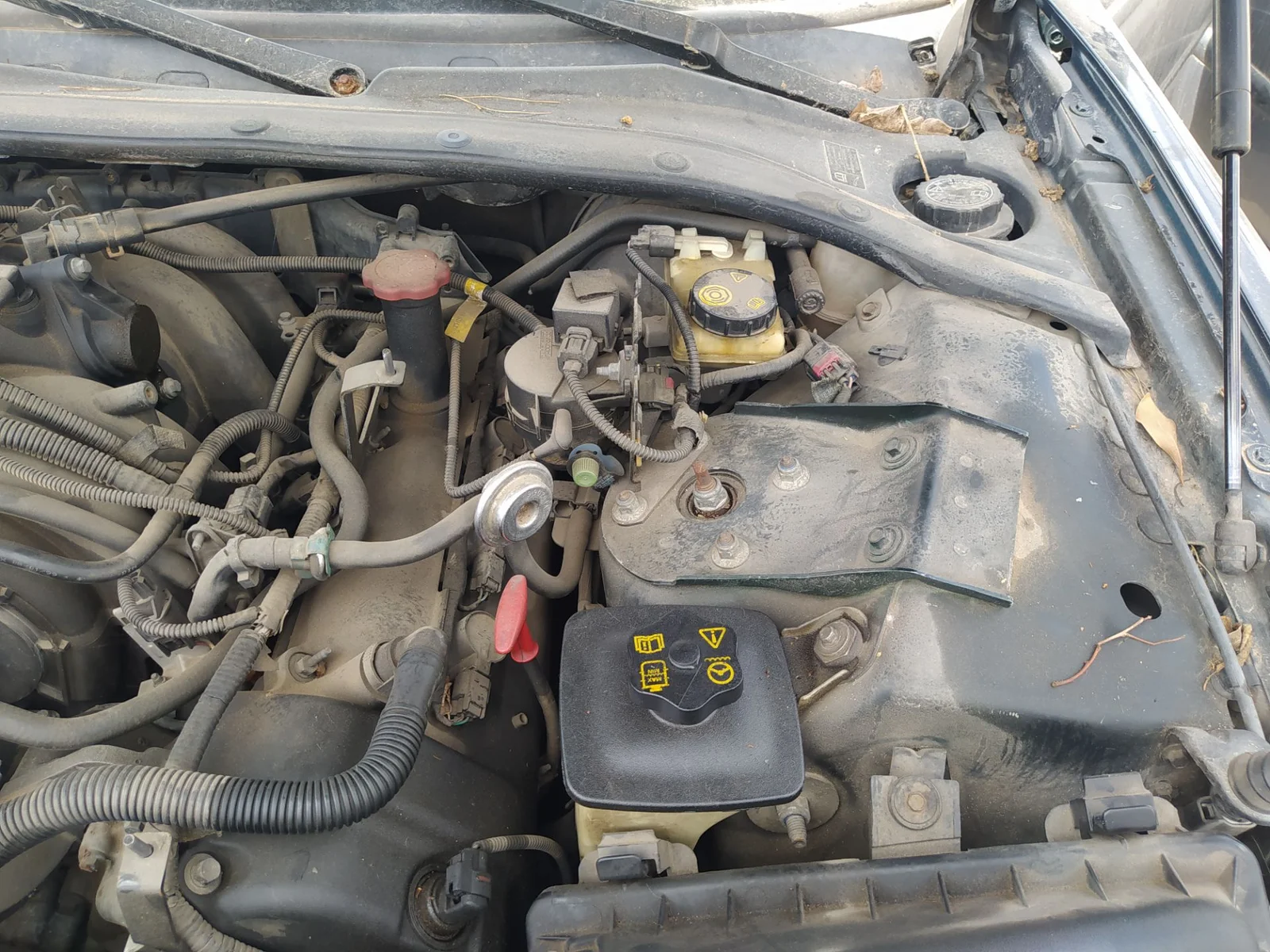 Foto de BOBINA ENCENDIDO JAGUAR S-TYPE (03.1999) 4.0 V8 32V CAT (276 CV / 203 KW)