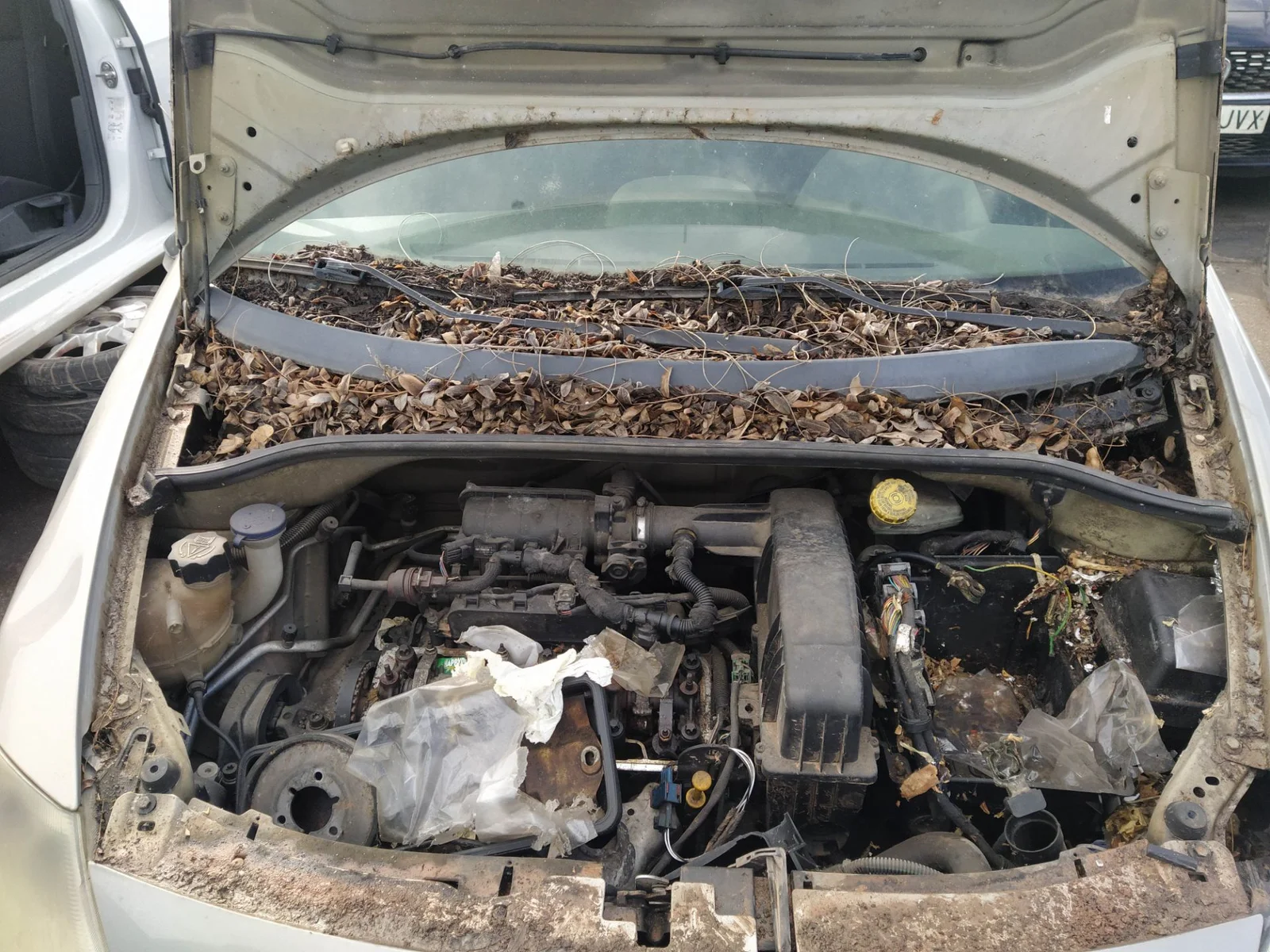 Foto de ALTERNADOR CITROEN C3 1.1 (60 CV / 44 KW) referencia 57056C