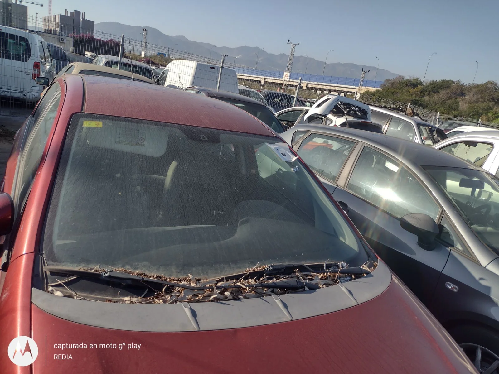 Foto de PARABRISAS FIAT GRANDE PUNTO (199) 1.4 CAT (78 CV / 57 KW) referencia 6000630443
