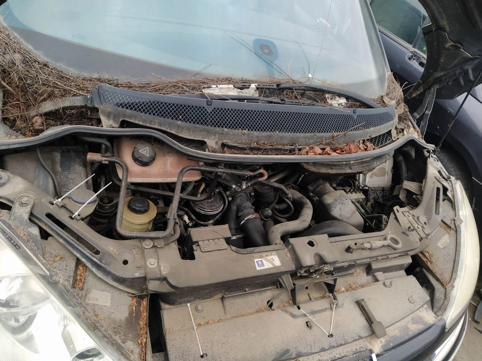 Foto de CABLEADO ELECTRICO PEUGEOT 807 2.2 HDi FAP CAT (4HW) (128 CV / 94 KW)