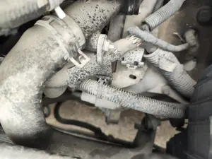 Foto de MOTOR ARRANQUE CITROEN XSARA PICASSO 2.0 HDi CAT (RHY / DW10TD) (90 CV / 66 KW) referencia 9827007180