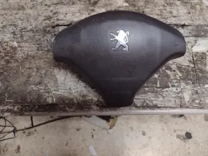 Foto de AIRBAG DELANTERO IZQUIERDO PEUGEOT 307 (S1)(04.2001) referencia 96345028ZR