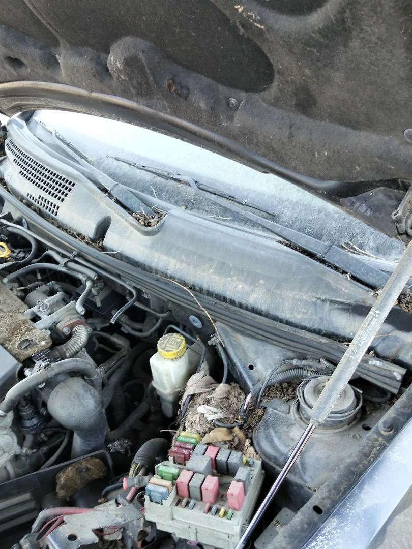 Foto de MOTOR LIMPIA DELANTERO FIAT STILO (192) 1.9 JTD CAT (116 CV / 85 KW)