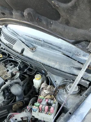 Foto de MOTOR LIMPIA DELANTERO FIAT STILO (192) 1.9 JTD CAT (116 CV / 85 KW)