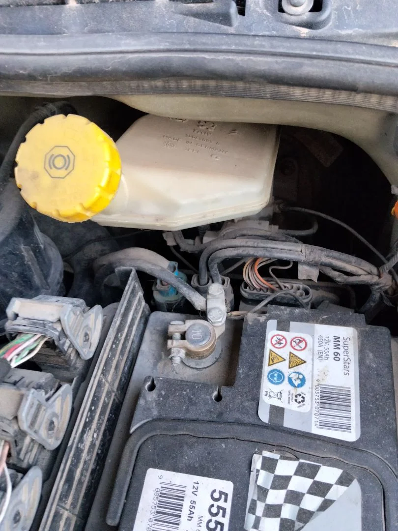 Foto de SERVOFRENO CITROEN C3 referencia 4535W8