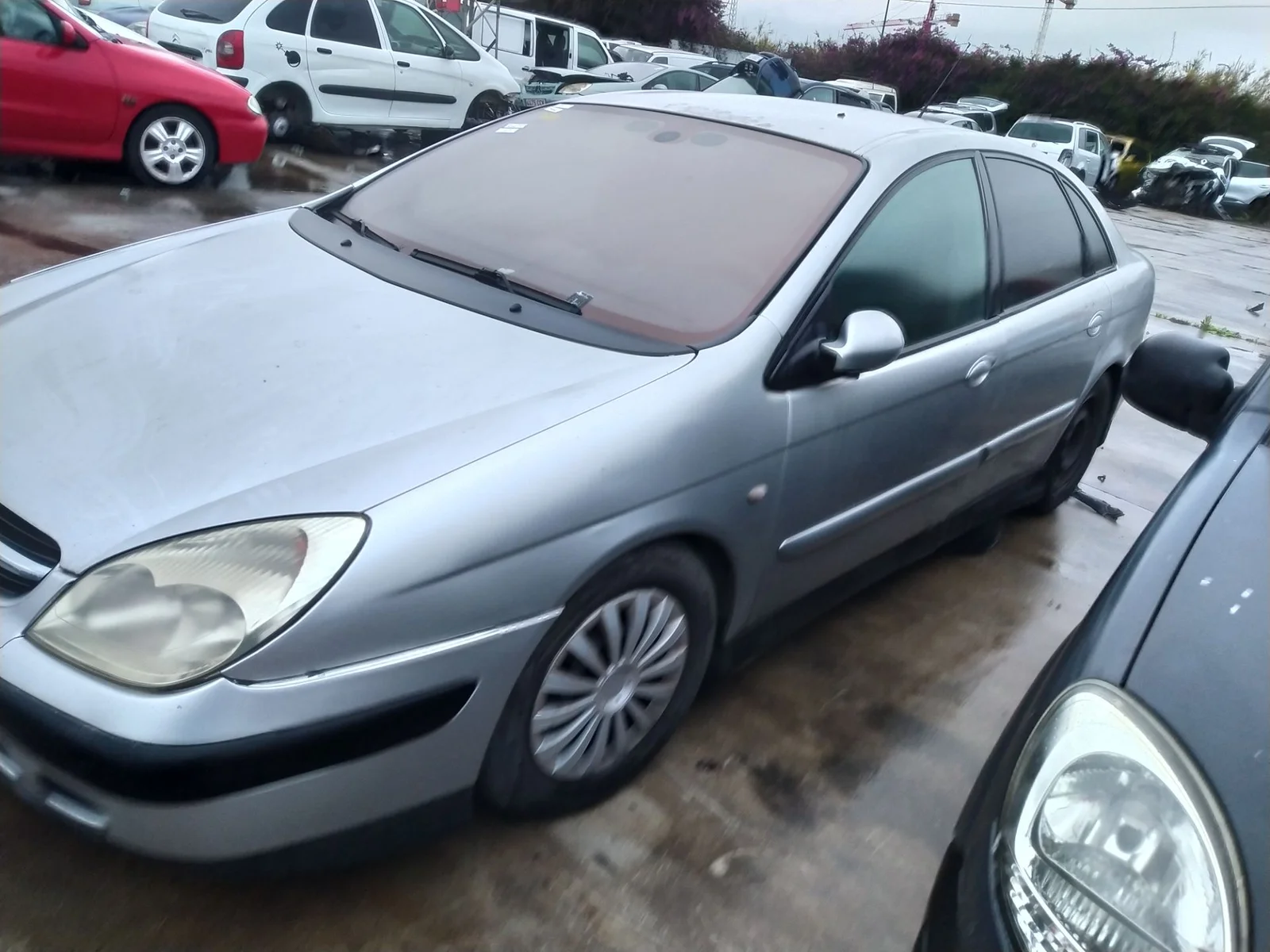 Foto de BARRA ESTABILIZADORA DELANTERA CITROEN C5 BERLINA 2.0 HDi (109 CV / 80 KW) referencia 5081E1
