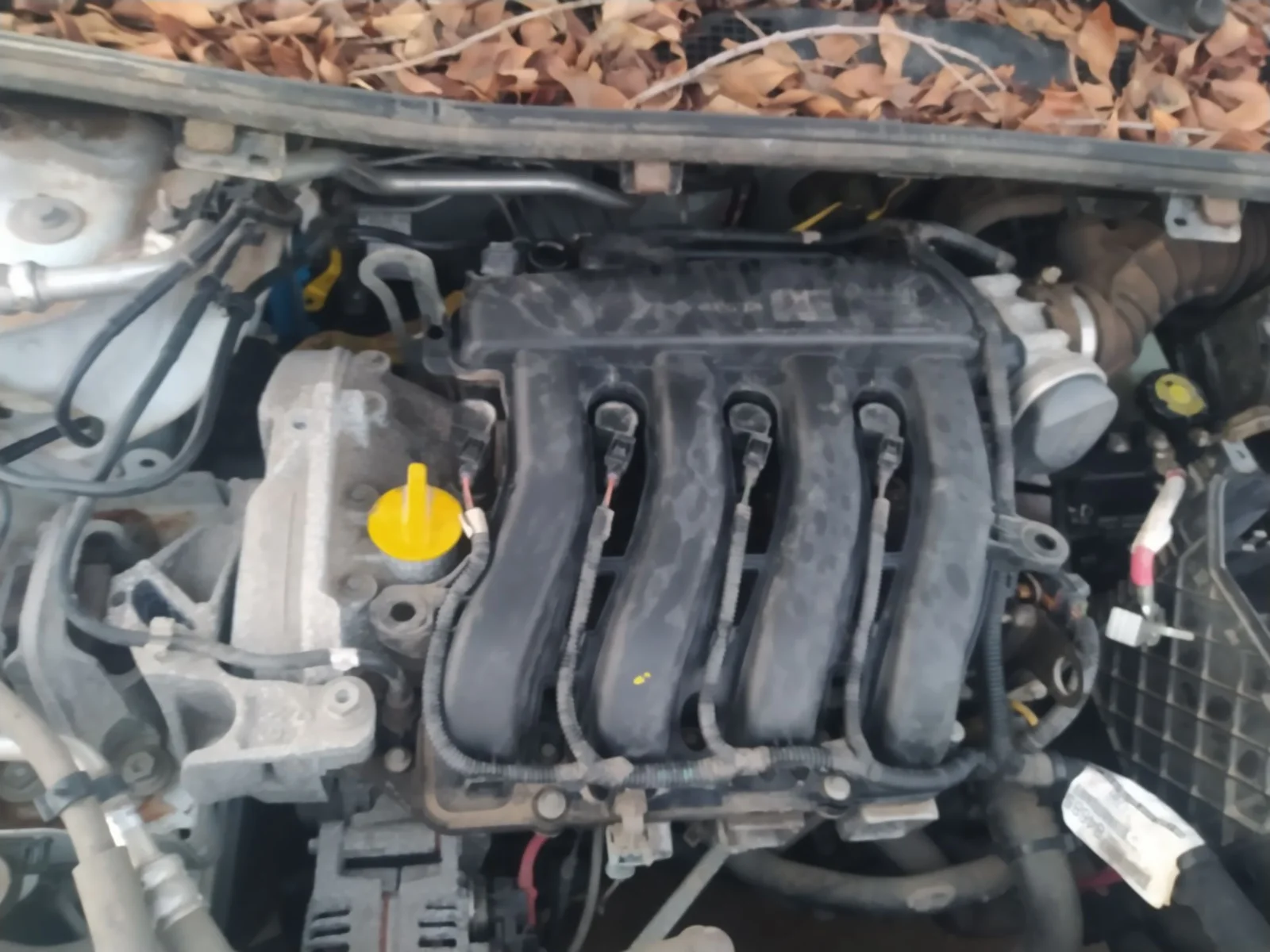 Foto de MOTOR ARRANQUE RENAULT MEGANE III BERLINA 5P 1.6 16V CAT (101 CV / 74 KW) referencia 8200266777