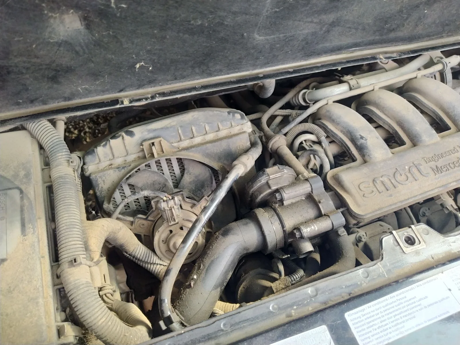 Foto de CABLEADO ELECTRICO SMART FORTWO COUPE 0.7 Turbo CAT (61 CV / 45 KW)