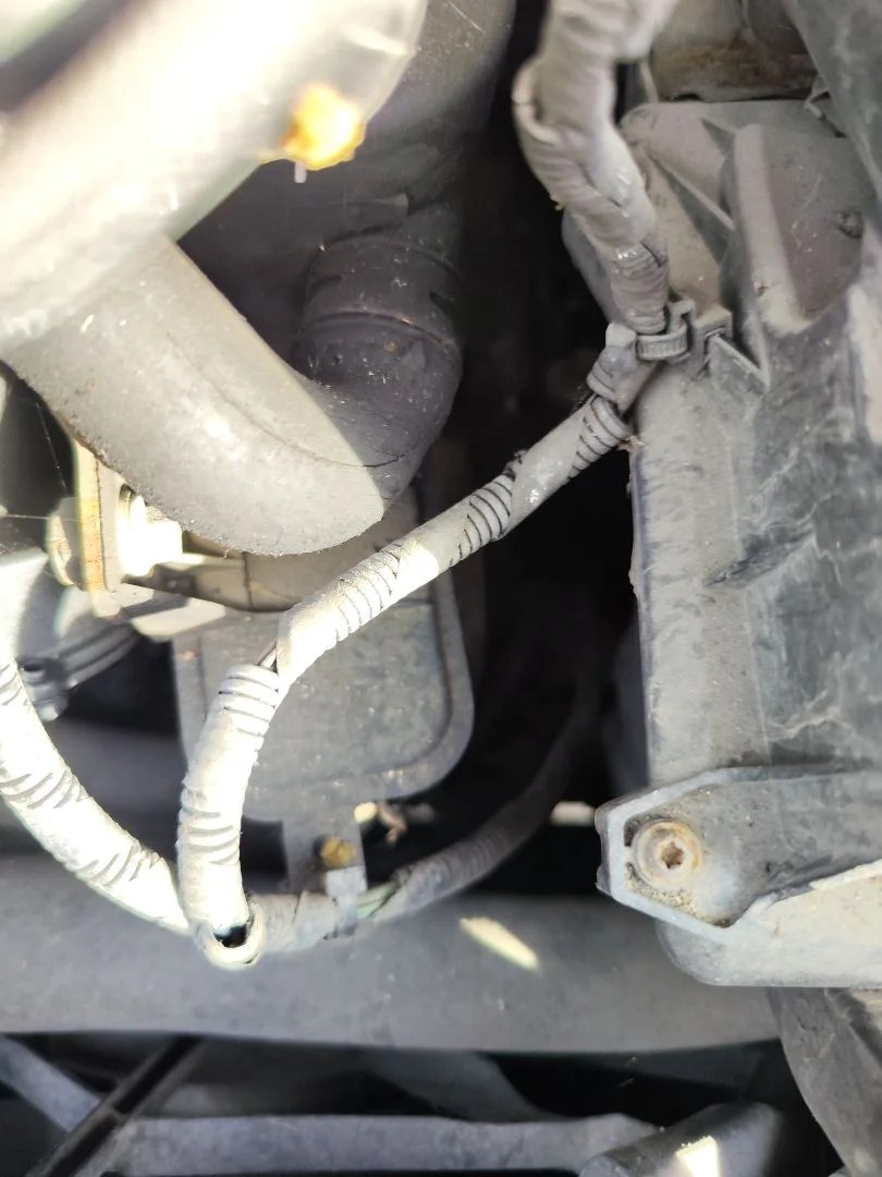 Foto de CAJA CAMBIOS FORD FOCUS BERLINA (CAP) 1.8 TDCi Turbodiesel CAT (116 CV / 85 KW) referencia 1485655