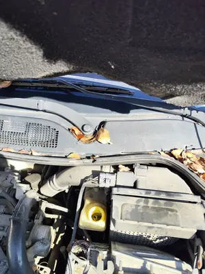 Foto de MOTOR LIMPIA DELANTERO RENAULT MEGANE II BERLINA 5P 1.5 dCi Diesel (101 CV / 74 KW) referencia 7701054828