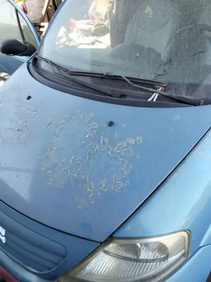 Foto de CAPO CITROEN C3 referencia 7901K6 foto 3