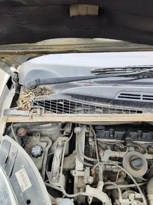 Foto de BRAZO LIMPIA DELANTERO DERECHO CITROEN XSARA PICASSO 2.0 HDi CAT (RHY / DW10TD) (90 CV / 66 KW) referencia 6429Q8