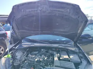 Foto de CAPO SKODA YETI (5L)(2009) 2.0 TDI (110 CV / 81 KW) referencia 5L0823031